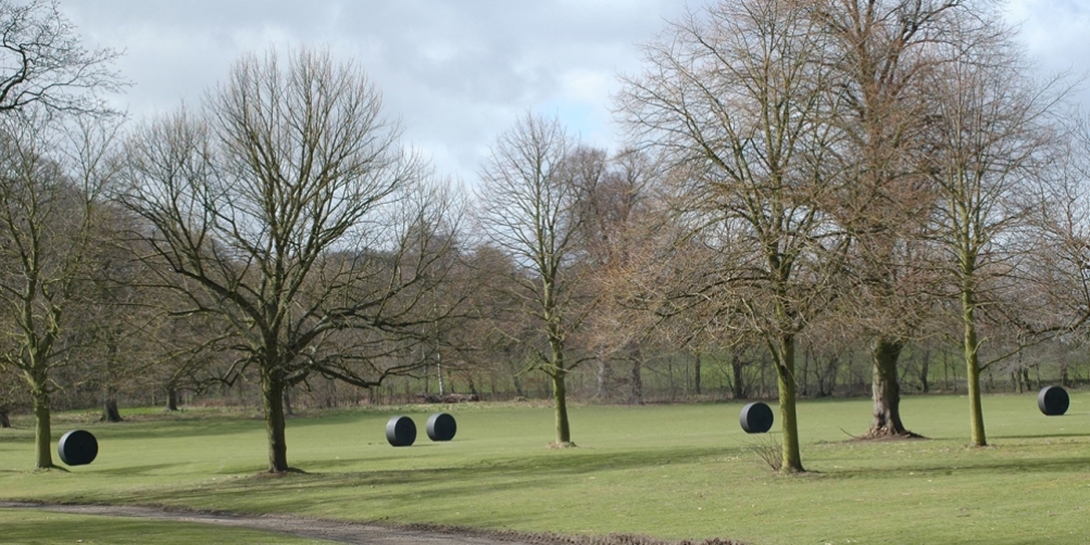 Invasion, Yorkshire Sculpture Parc, 2008